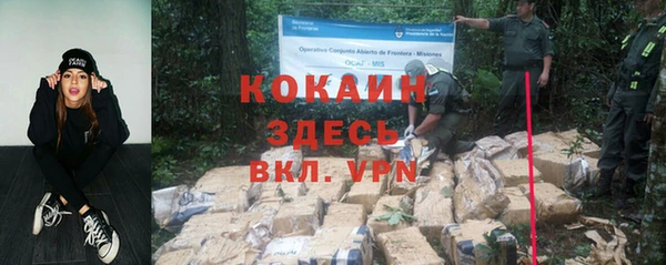 прущие грибы Семёнов