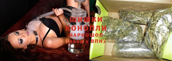 прущие грибы Янаул