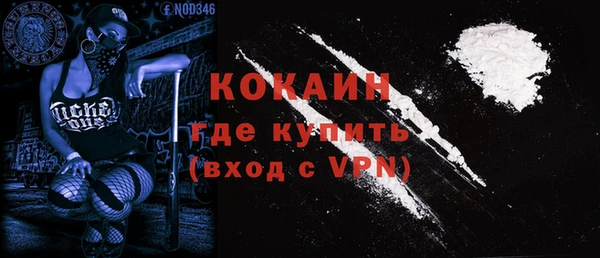 прущие грибы Янаул