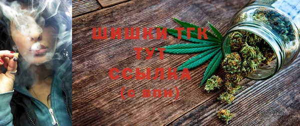прущие грибы Янаул