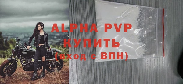 прущие грибы Янаул