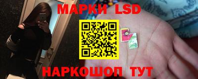 дурь Камышлов