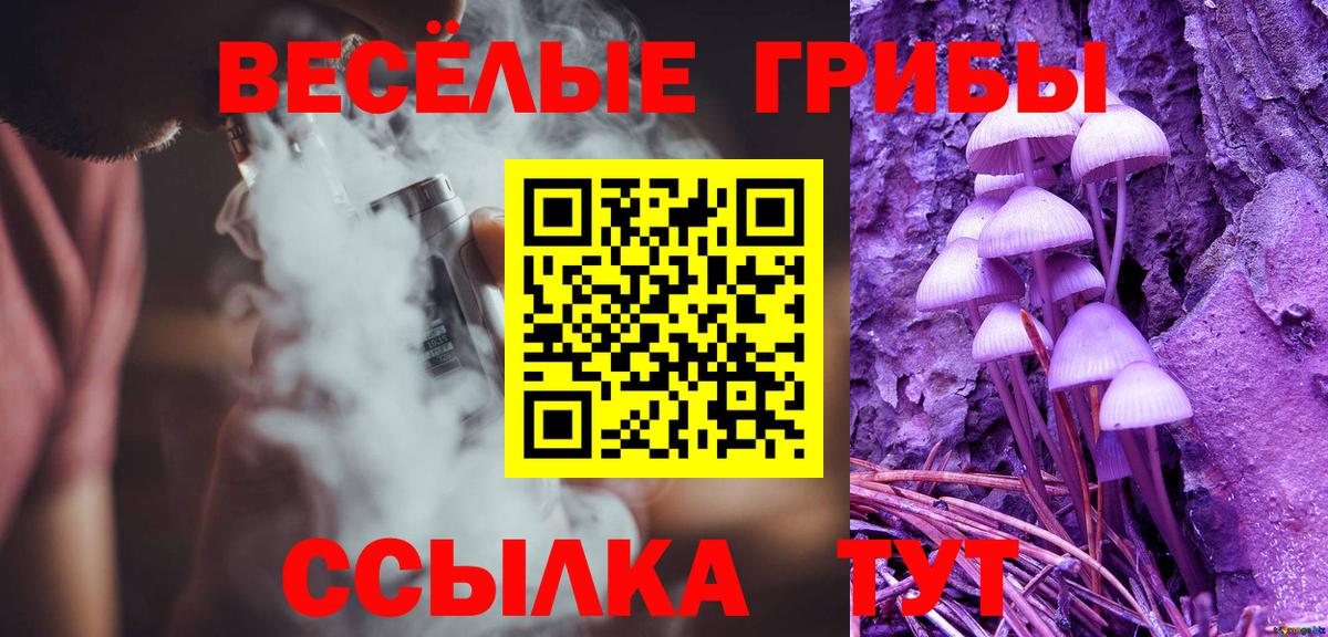Пятигорск  Псилоцибиновые грибы Psilocybe  продажа наркотиков  Вход с VPN 