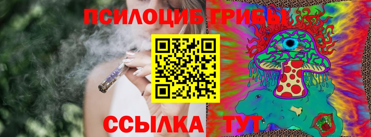 Псилоцибиновые грибы Пятигорск