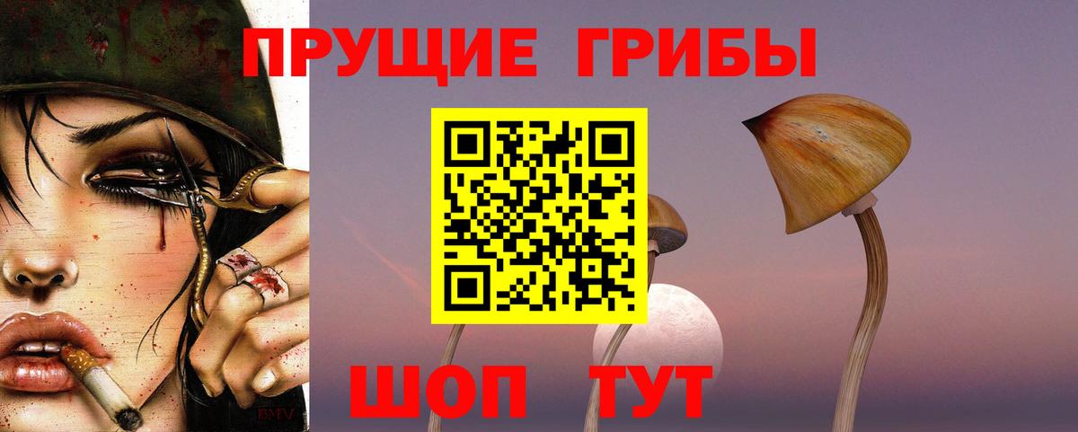 Псилоцибиновые грибы мицелий  Псилоцибиновые грибы ЛСД  Пятигорск 