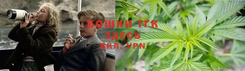 Конопля SATIVA & INDICA  Пятигорск 